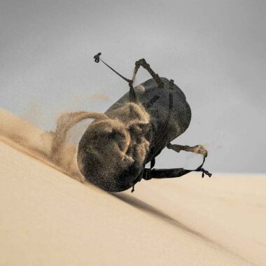 Built to Endure – What Makes Tactical Gear Truly Durable